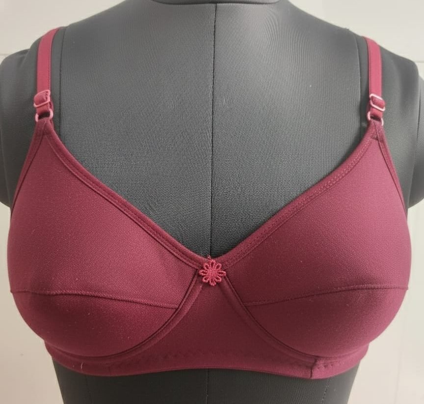 WhatsApp Image 2025-12-23 at 5.12.01 PM Padded Colour Bra - Image 1