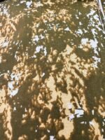 Feeding with two side zip-CG - Image 2