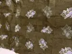 Feeding Home Wear olive green - Image 2